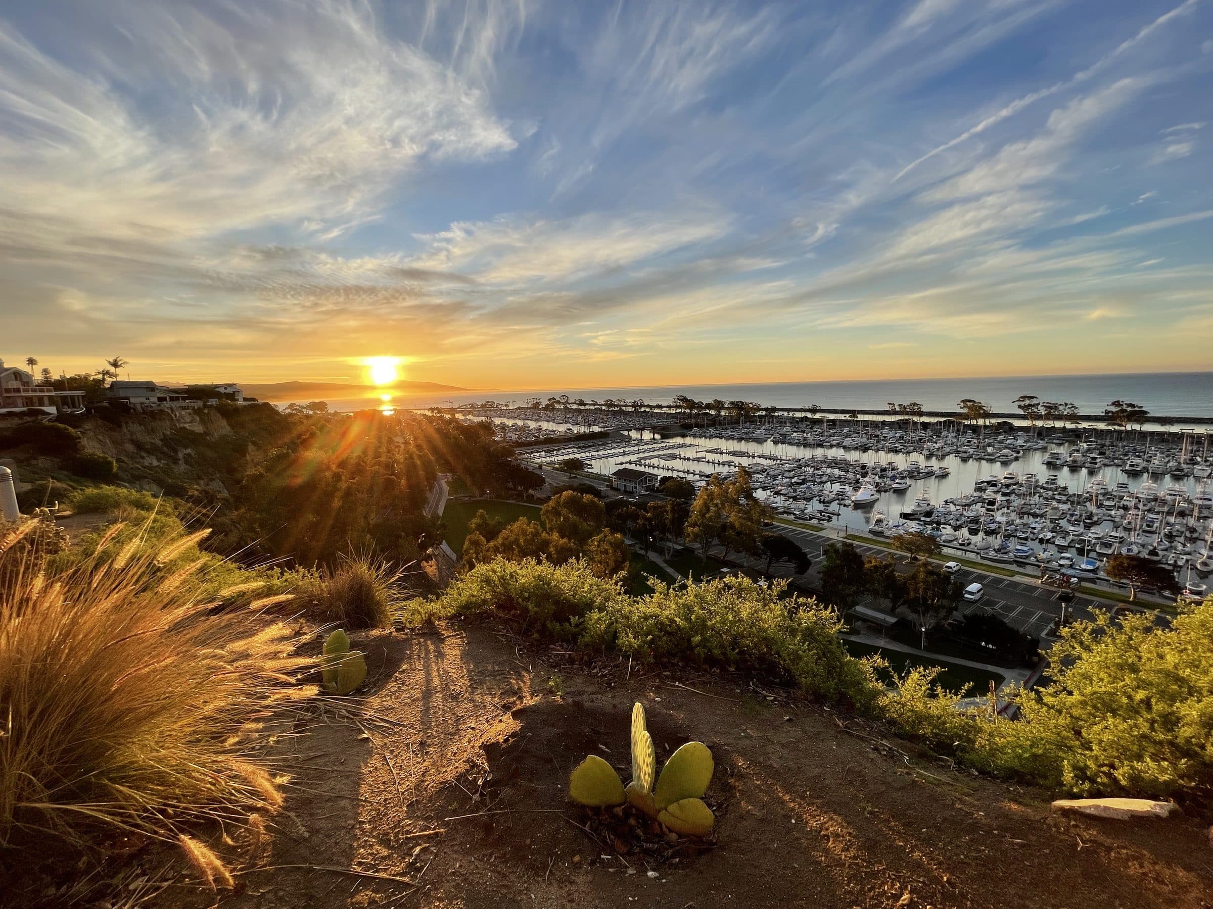 Sunrise over the Dana Point harbor from the bluff top, marina below